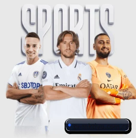 mk体育入口五大内容板块,覆盖赛事直播与实时比分 - 多运动项目内容板块