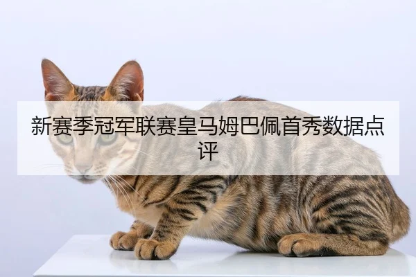 新赛季冠军联赛皇马姆巴佩首秀数据点评
