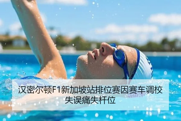 han-mi-er-dun-xin-jia-po-zhan-pai-wei-sai-yin-sai-che-diao-xiao-shi-wu-tong-shi-gan-wei-2-222.jpg