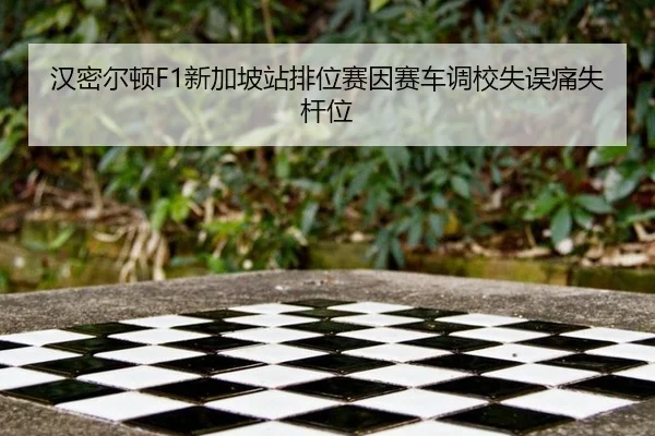 han-mi-er-dun-xin-jia-po-zhan-pai-wei-sai-yin-sai-che-diao-xiao-shi-wu-tong-shi-gan-wei-3-145.jpg