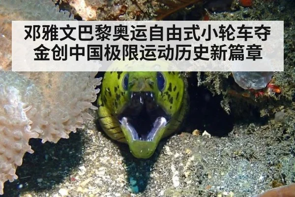 邓雅文巴黎奥运自由式小轮车夺金创中国极限运动历史新篇章